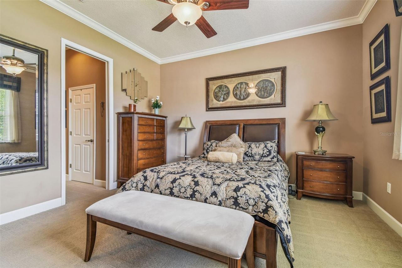 21738 Ocean Pines Drive, Land O Lakes, FL 34639 Photo