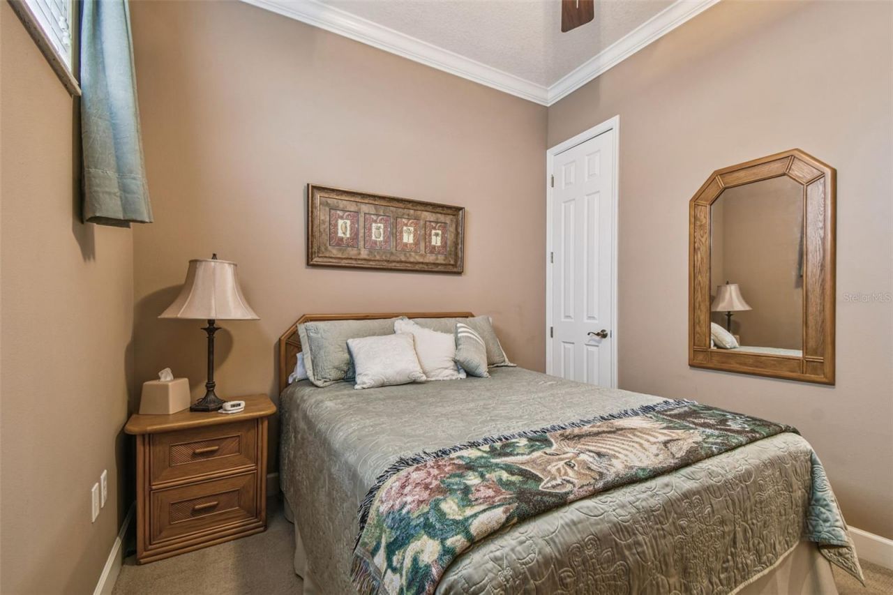 21738 Ocean Pines Drive, Land O Lakes, FL 34639 Photo