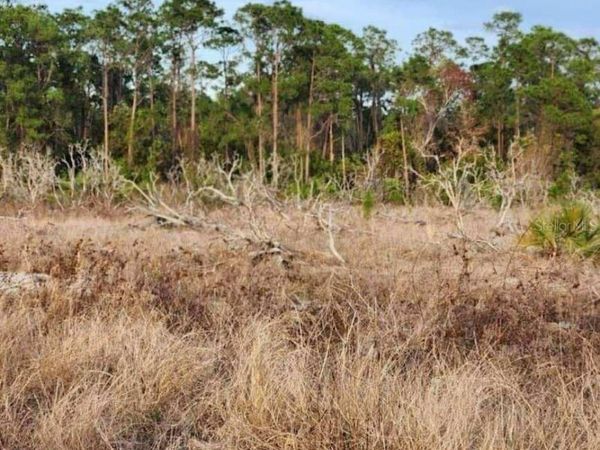 W FROSTPROOF ROAD, Unit Lot 17, FROSTPROOF, FL 33843