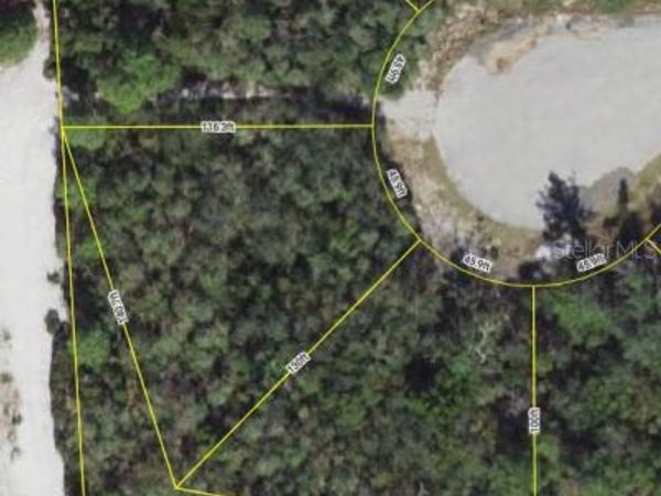 1250 ALAFIA WAY, KISSIMMEE, FL 34759