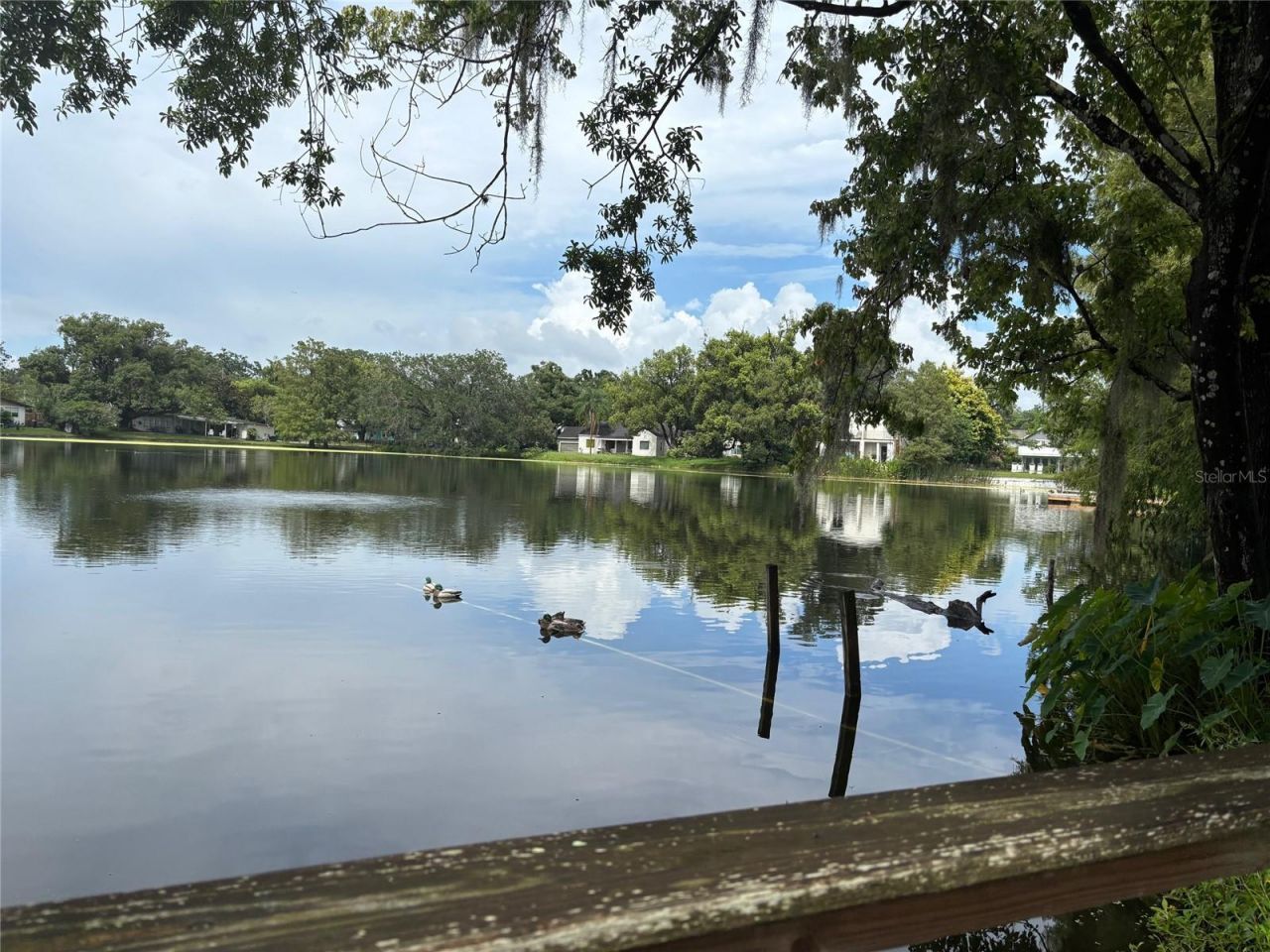 701 E South Street, Orlando, FL 32801 Photo