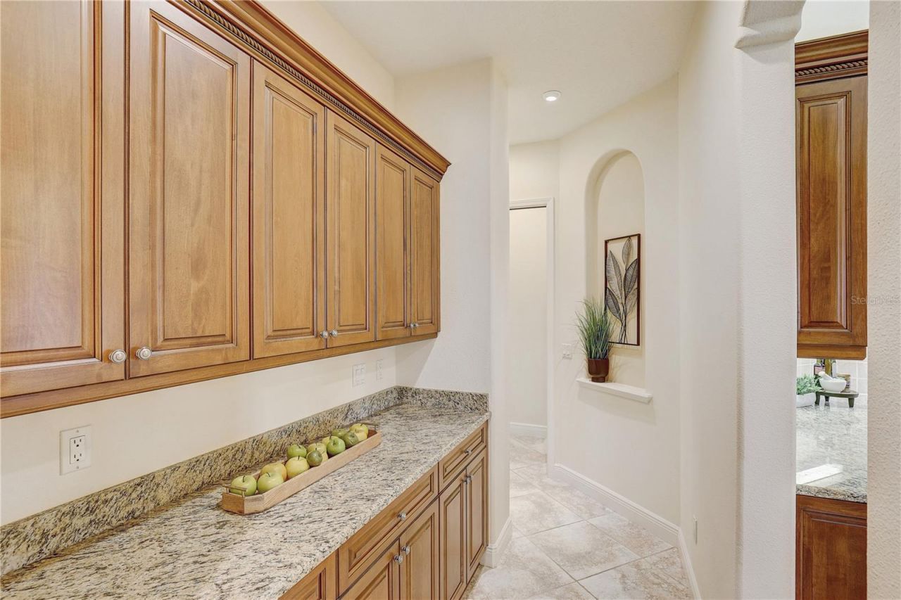 5408 Tybee Island Drive, Apollo Beach, FL 33572 Photo