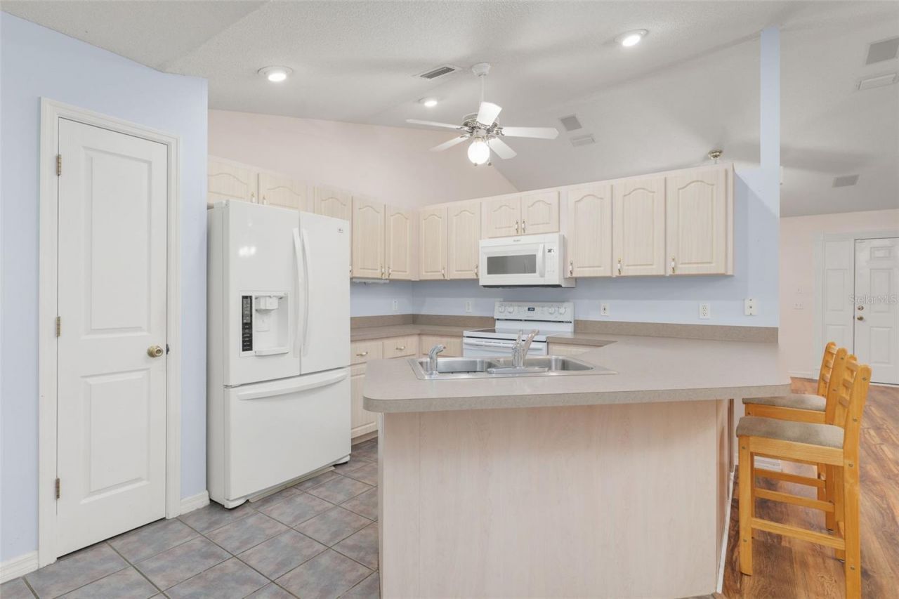 1251 Cr 436, Lake Panasoffkee, FL 33538 Photo