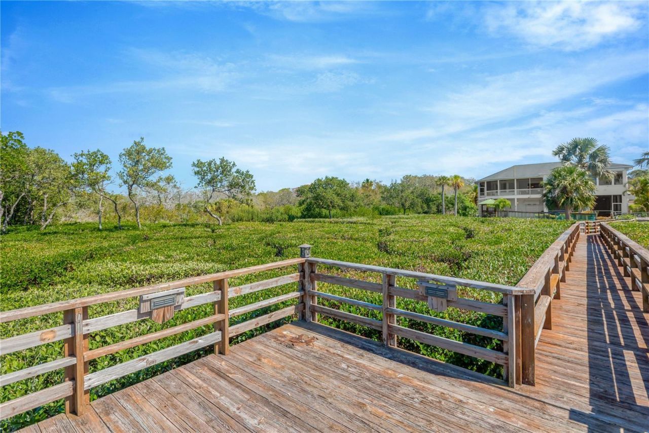 511 Seaview Drive, Tarpon Springs, FL 34689 Photo