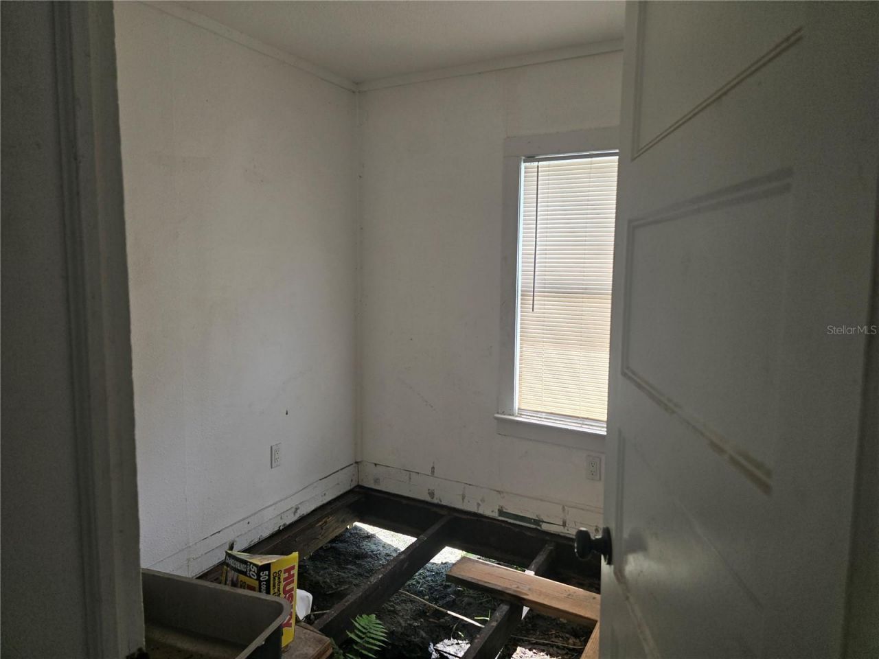 1327 Georgia Avenue, Dunedin, FL 34698 Photo