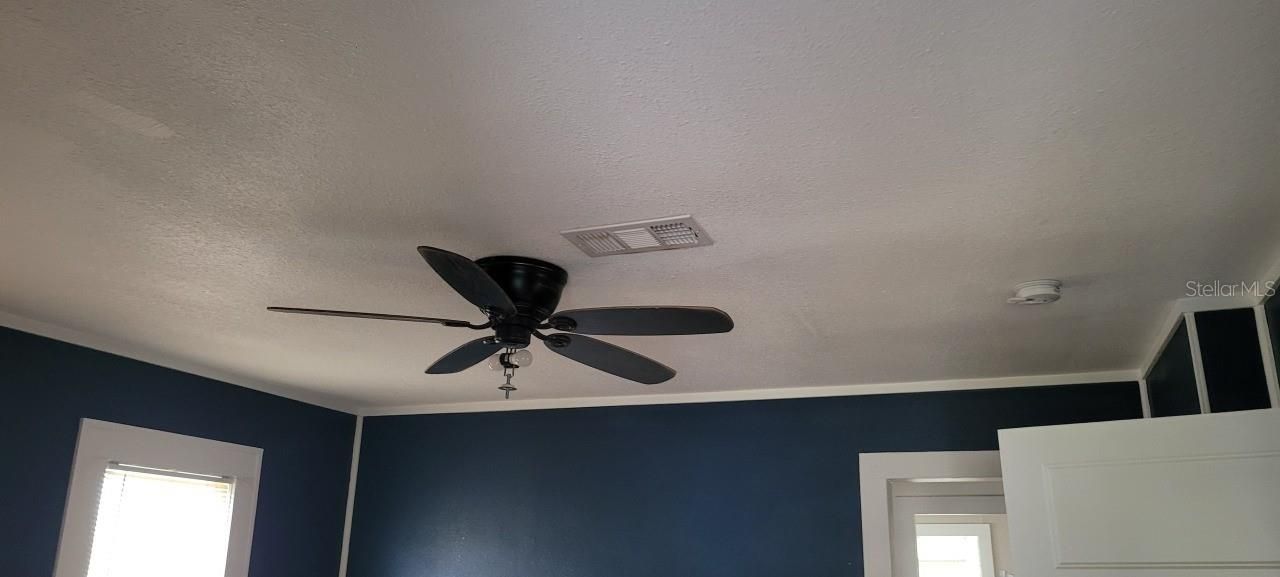 1327 Georgia Avenue, Dunedin, FL 34698 Photo