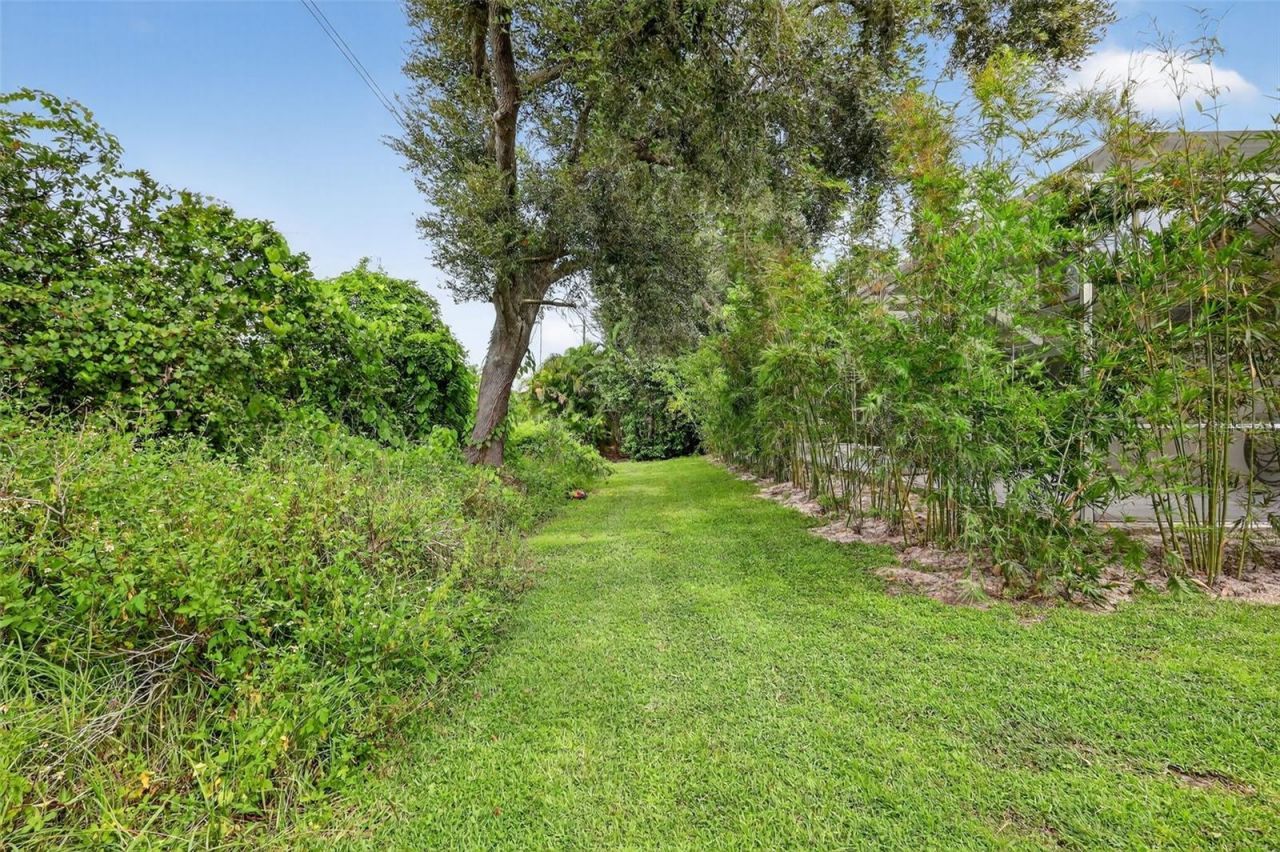 11019 Pine Lilly Place, Lakewood Ranch, FL 34202 Photo