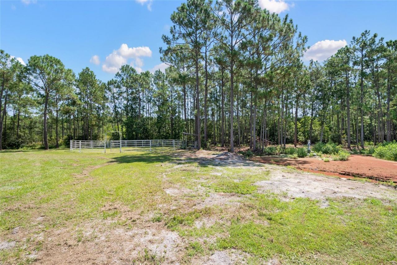7190 Six Gun Court, Saint Cloud, FL 34771 Photo