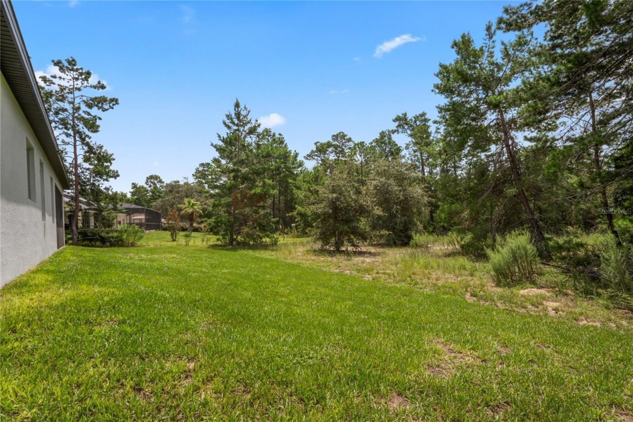 92 Grass Street, Homosassa, FL 34446 Photo