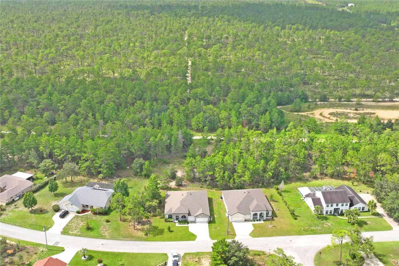 92 Grass Street, Homosassa, FL 34446 Photo