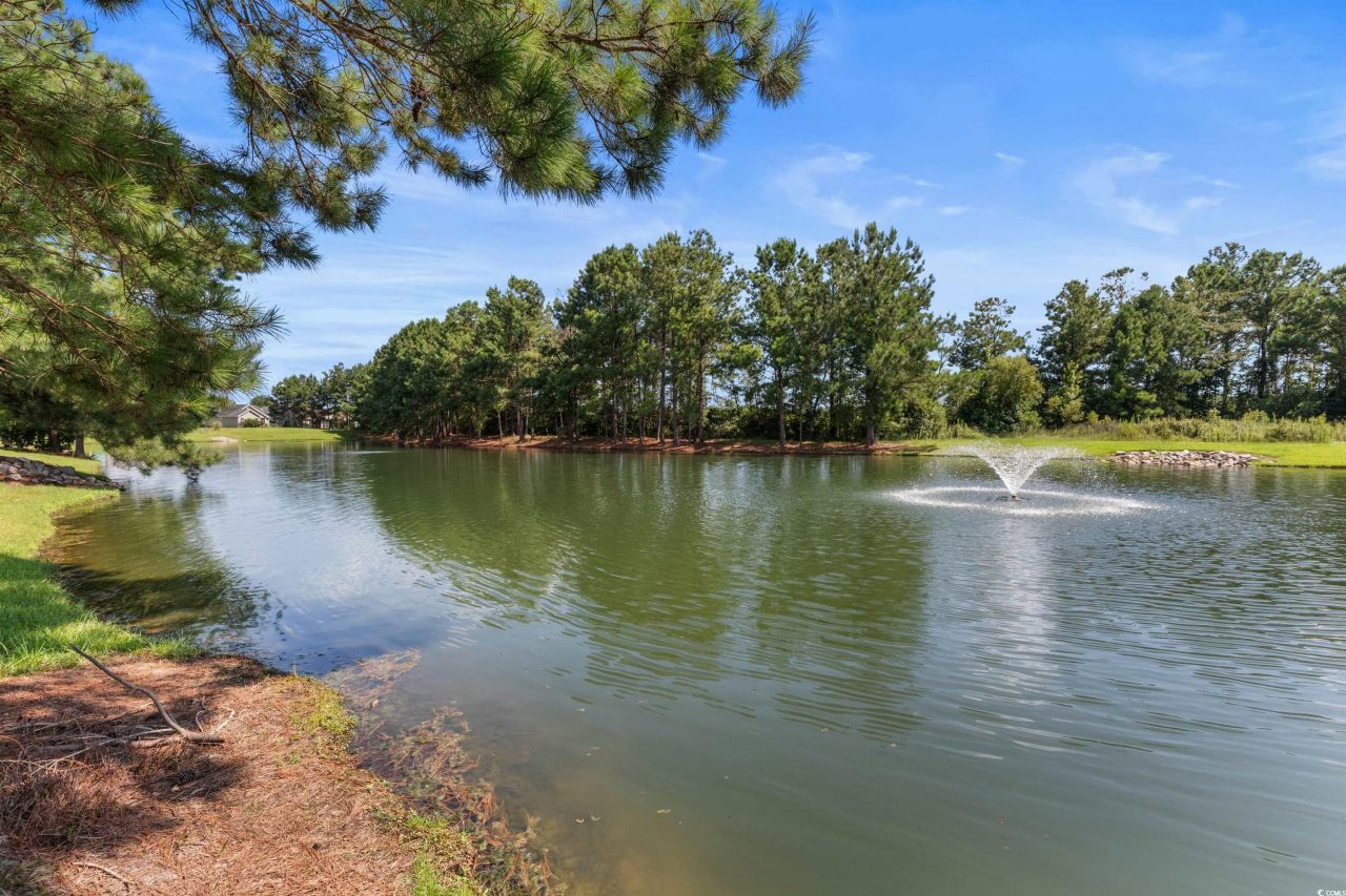 329 Blue Rock Dr. Photo 37