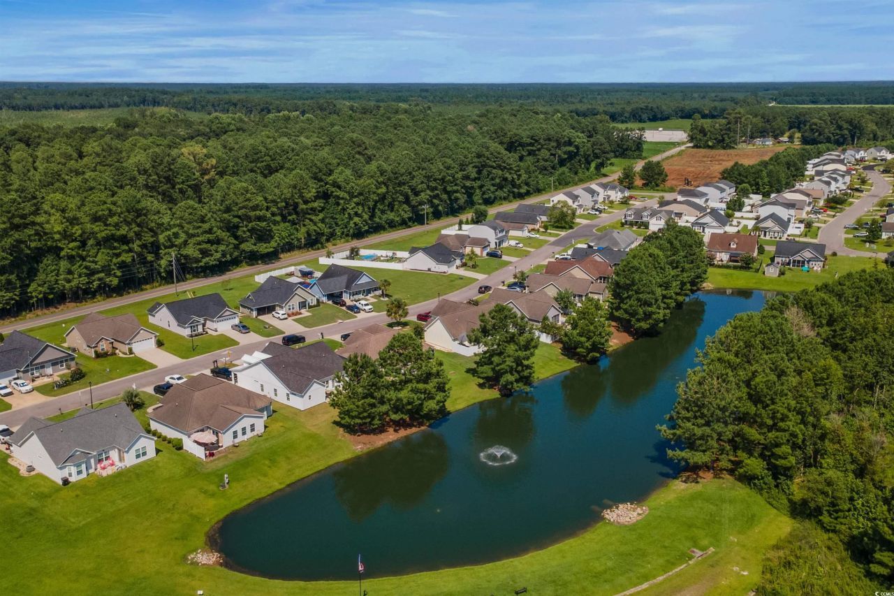 329 Blue Rock Dr. Photo 43