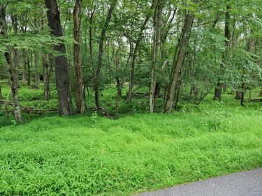 94 E ALPINE Drive, Terra Alta, WV 26764