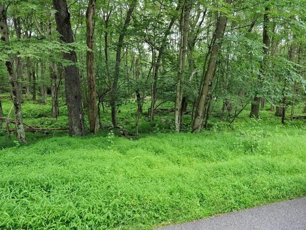 Lot 94 E ALPINE Drive, Terra Alta, WV 26764