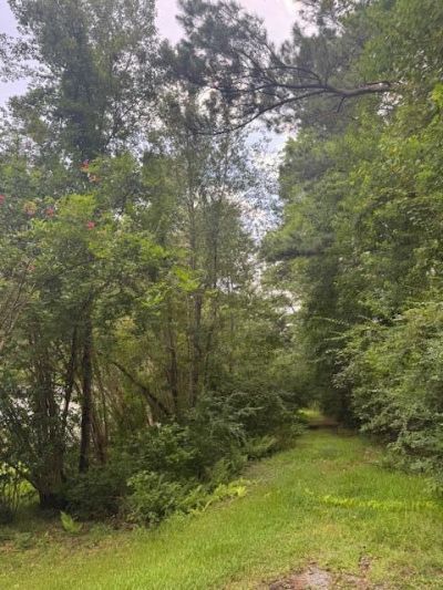 915 Lincolnville Avenue Photo 10