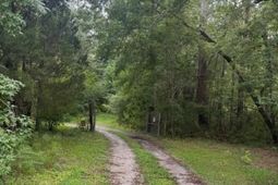 915 Lincolnville Avenue photo 4