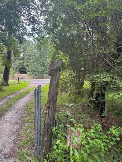 915 Lincolnville Avenue Photo 7