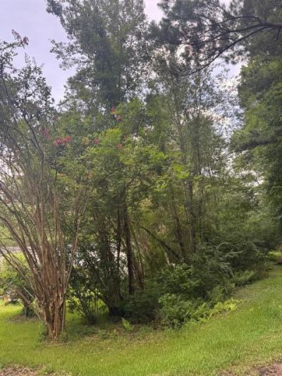 915 Lincolnville Avenue Photo 8