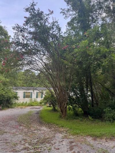 915 Lincolnville Avenue Photo 9