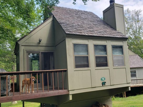 72 Red Squirrel Run, Davis, WV 26260