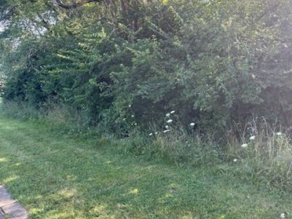 Brecksville Road, Independence, OH 44131