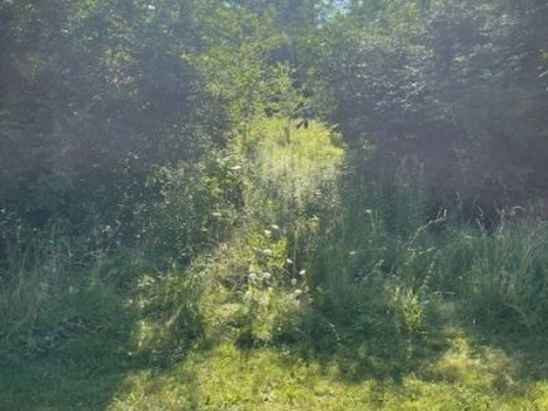 Brecksville Road, Independence, OH 44131 Photo 4