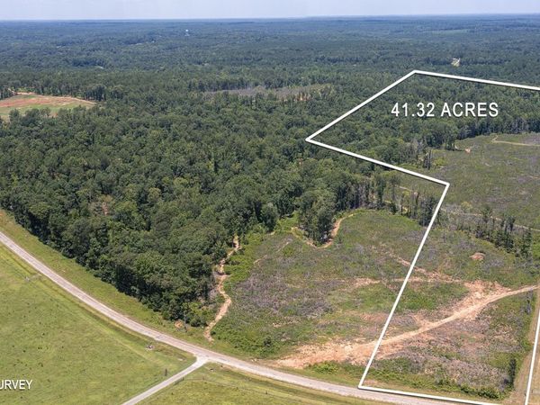 LOT 7 Mayfield Road, Flovilla, GA 30216