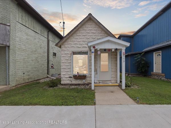 113 S Robinson Street, Perrinton, MI 48871