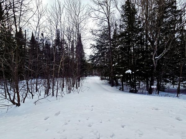 N 7982 CORD H-33, Curtis, MI 49820