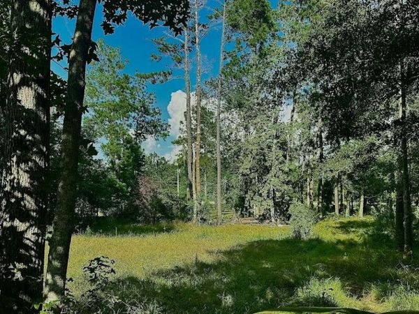 8078 HIGHWAY 171, DeRidder, LA 70634