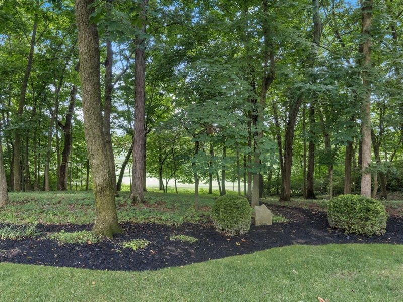 8565 Dunsinane Drive, Dublin, OH 43017 Photo 67