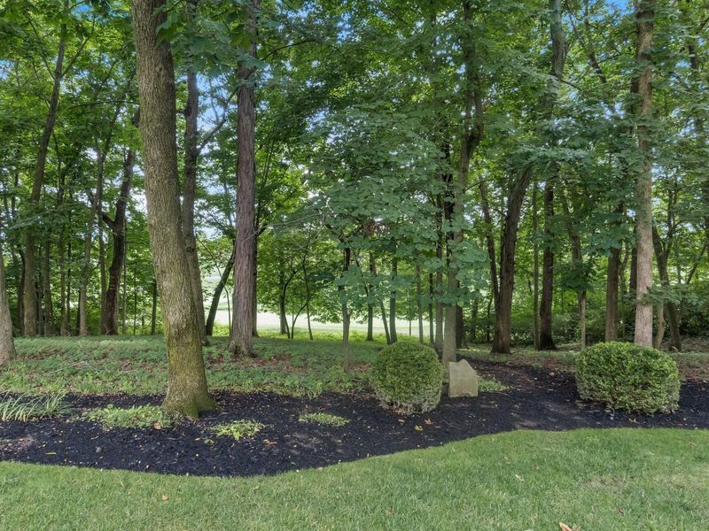 8565 Dunsinane Drive, Dublin, OH 43017 Photo 69