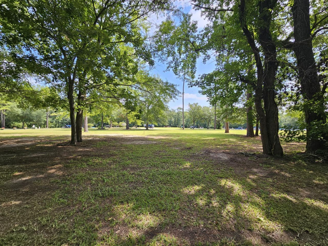 145 Woodlake Drive Photo 7