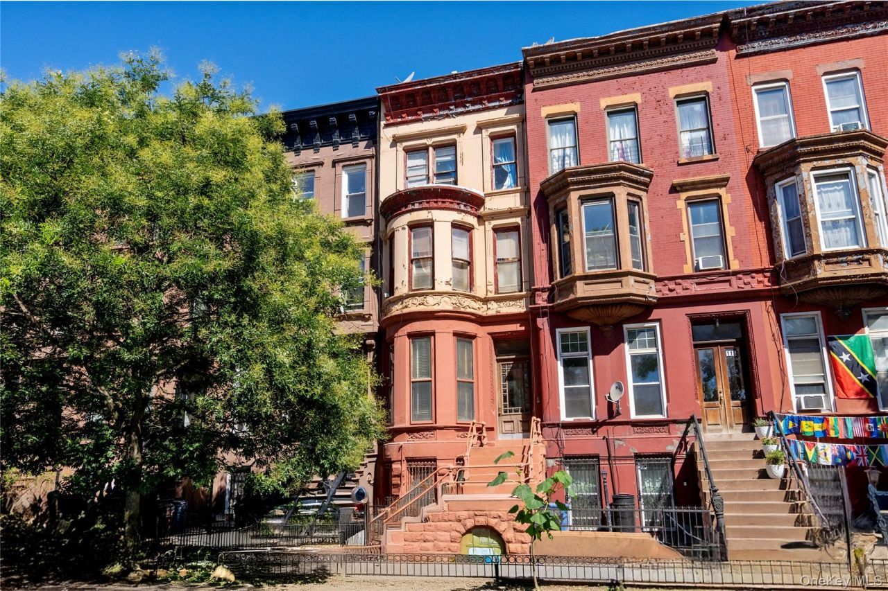 113 Halsey Street, Brooklyn, NY 11216 Main Photo