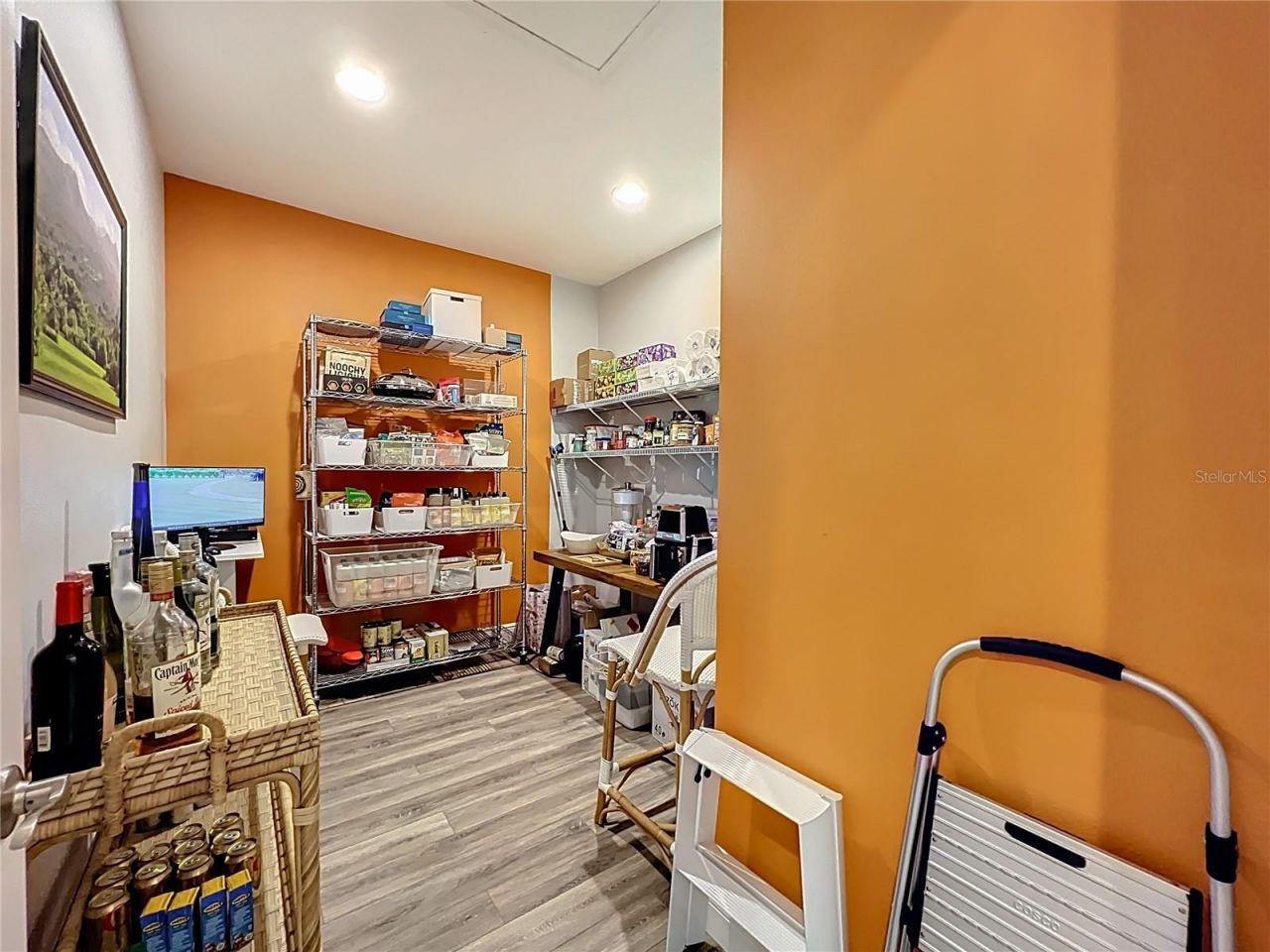 10220 & 10224 Bay Lake Road, Groveland, FL 34736 Photo