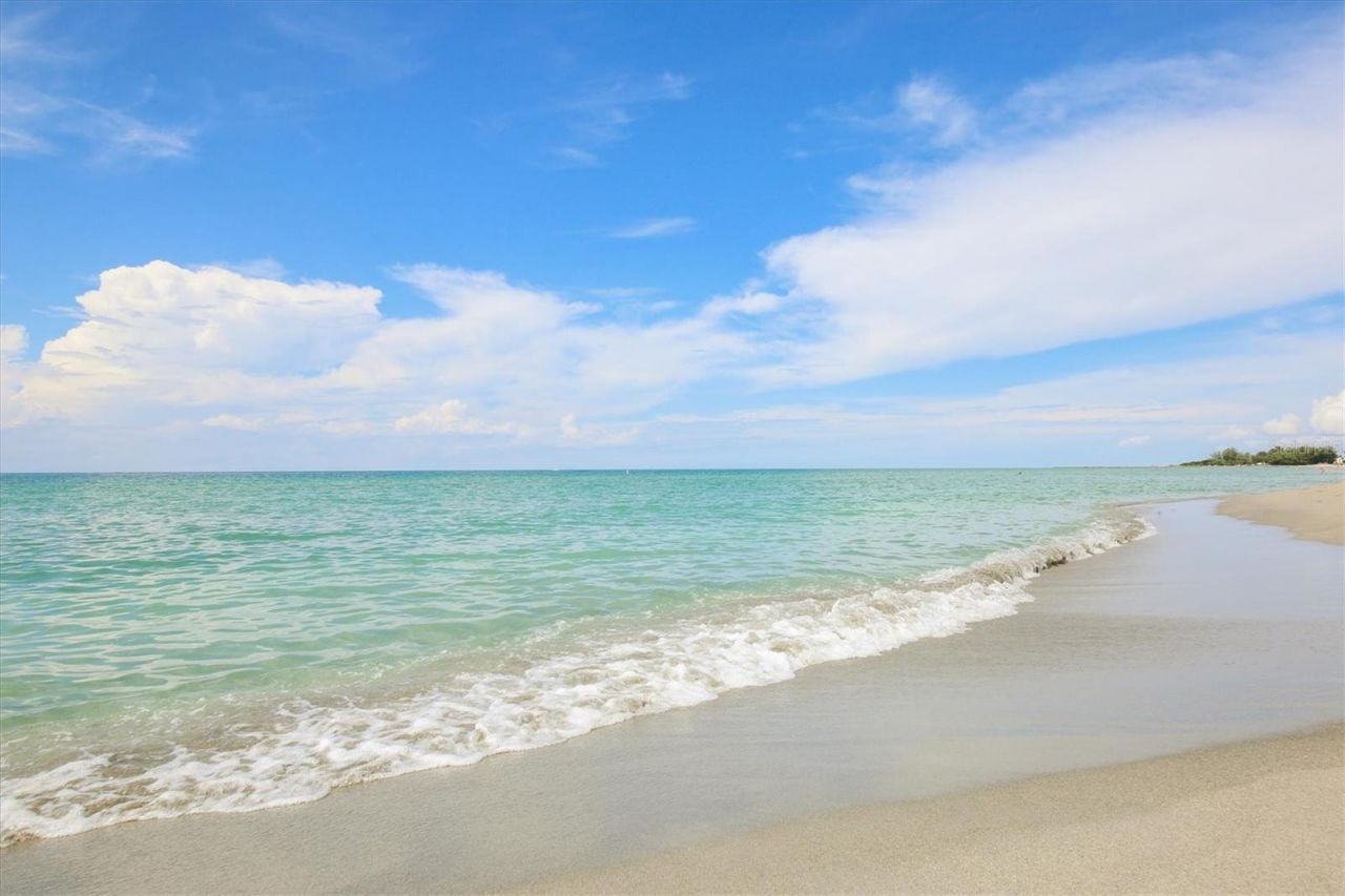 119 Woodbridge Drive, Unit 102, Venice, FL 34293 Photo