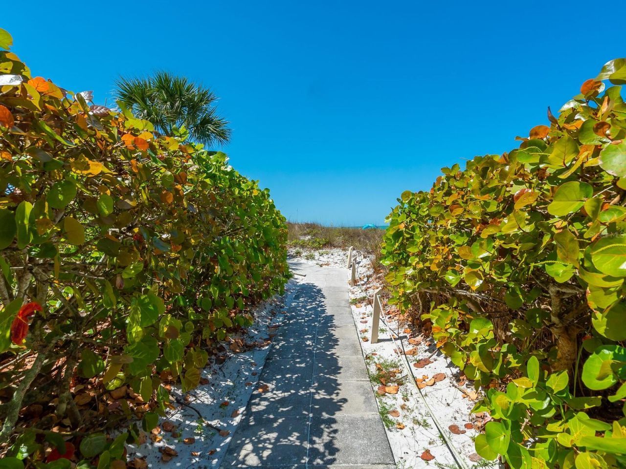 6281 Midnight Pass Road, Unit 6281, Sarasota, FL 34242 Photo