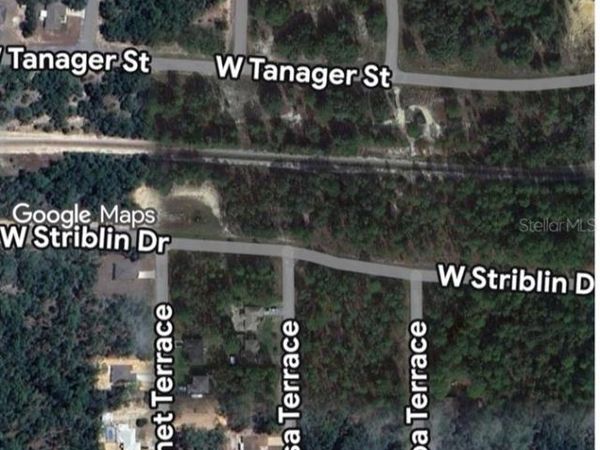 11325 N ZEUS POINT, DUNNELLON, FL 34433