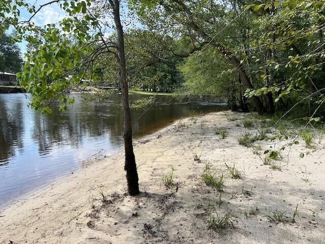 1373 Bridge Street Photo 59