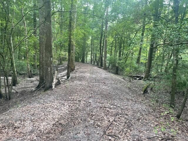 1373 Bridge Street Photo 62