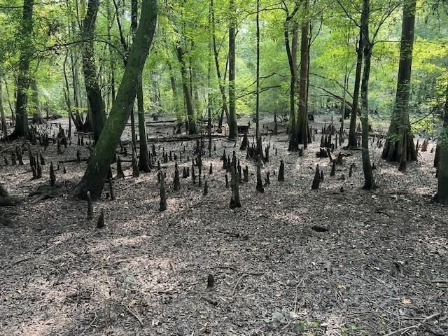 1373 Bridge Street Photo 63