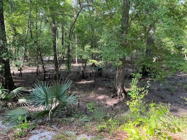 1373 Bridge Street Photo 64