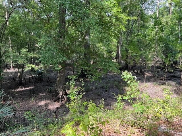 1373 Bridge Street Photo 66