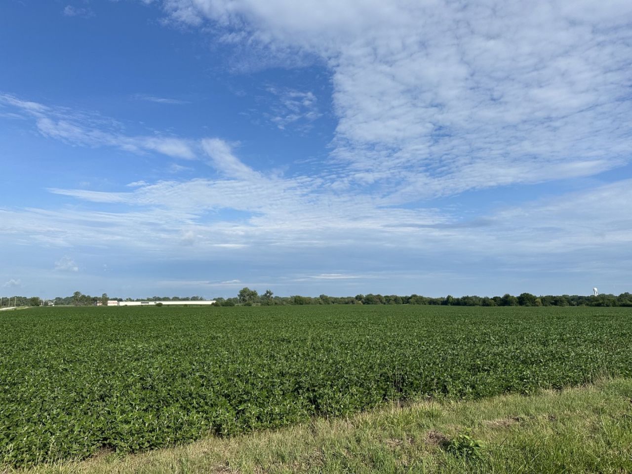 30 Acres Church and Racine Avenue, Beecher, IL 60401