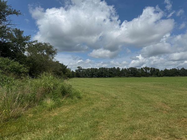 32673 State Highway 112, Seligman, MO 65745