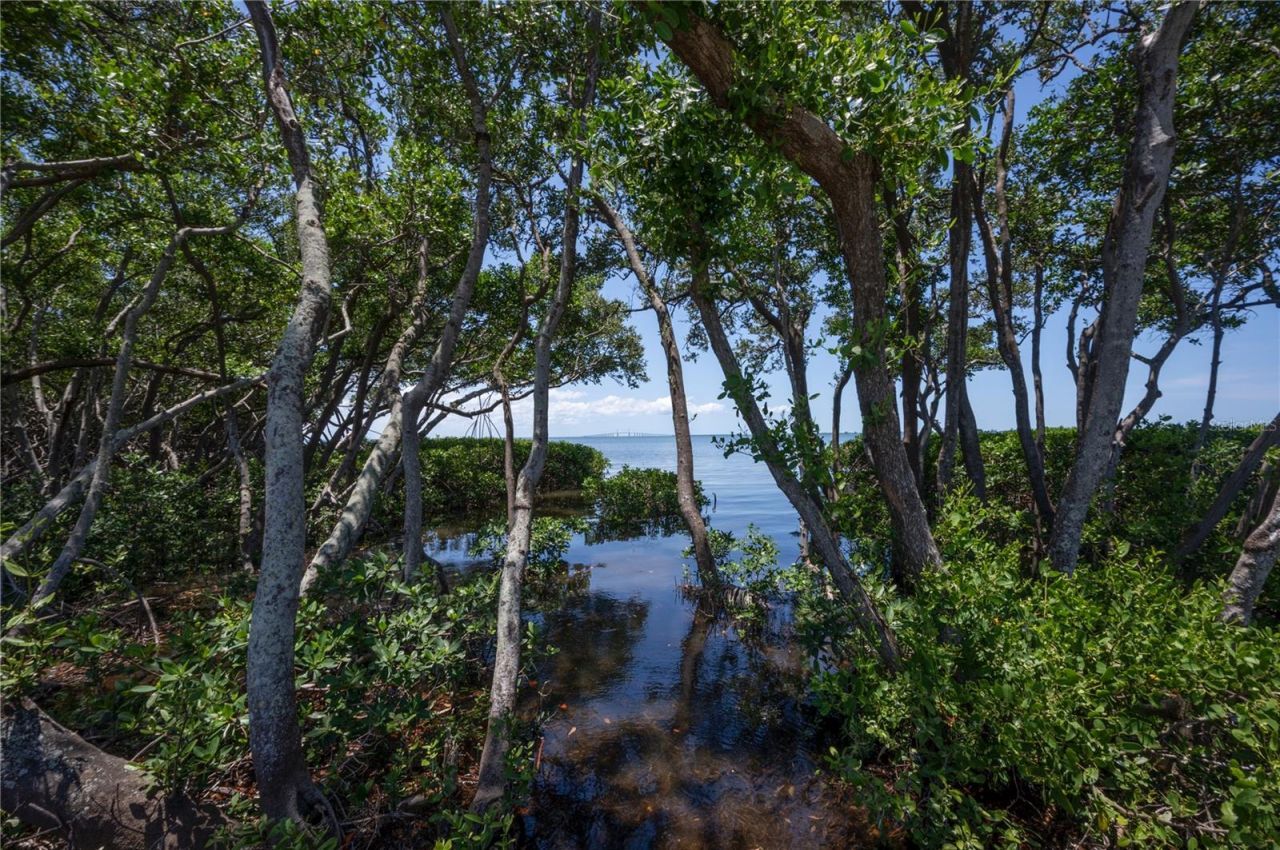 1125l Friendly Way S, Saint Petersburg, FL 33705 Photo