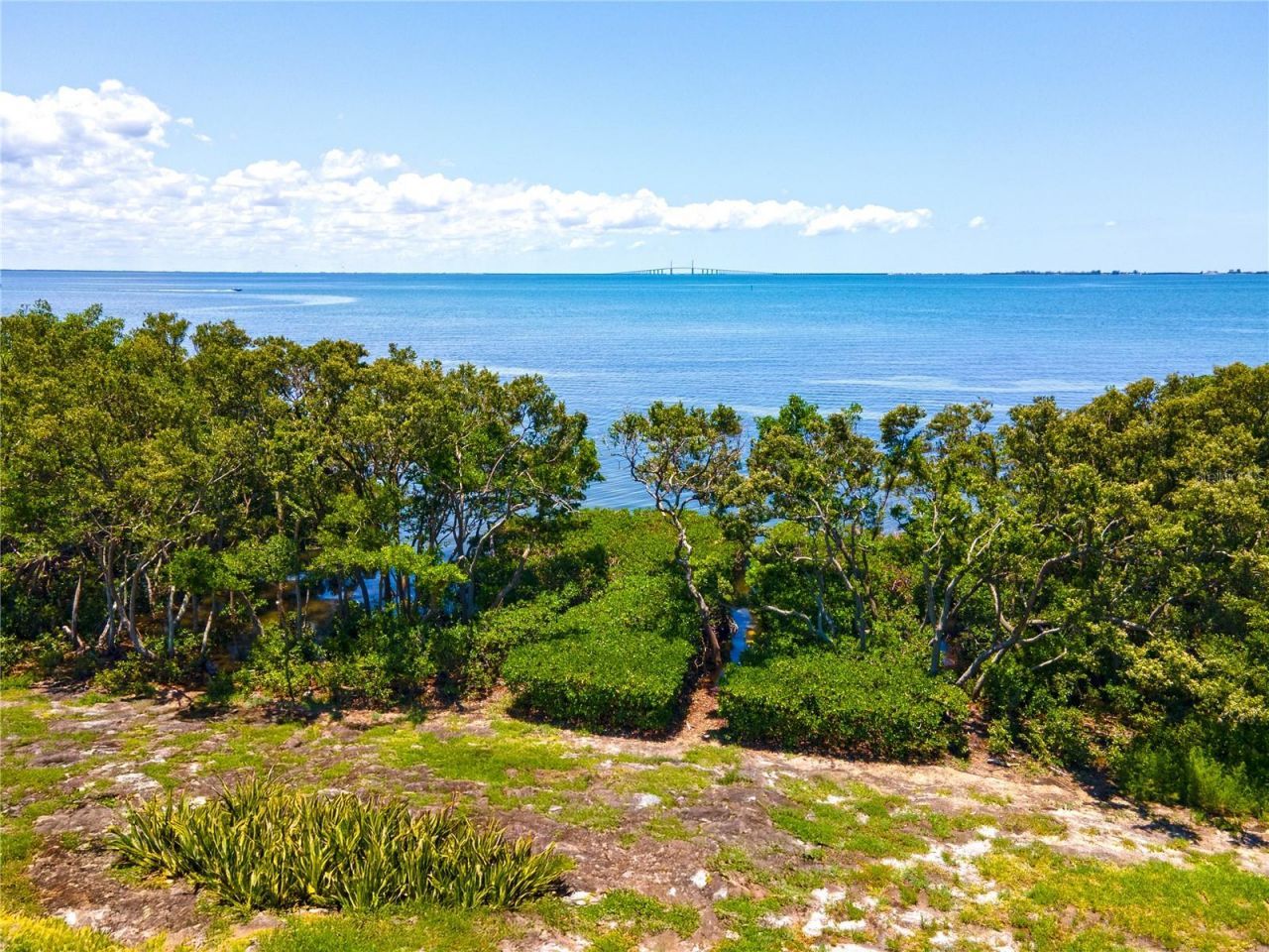 1125 Friendly Way S, Saint Petersburg, FL 33705 Photo