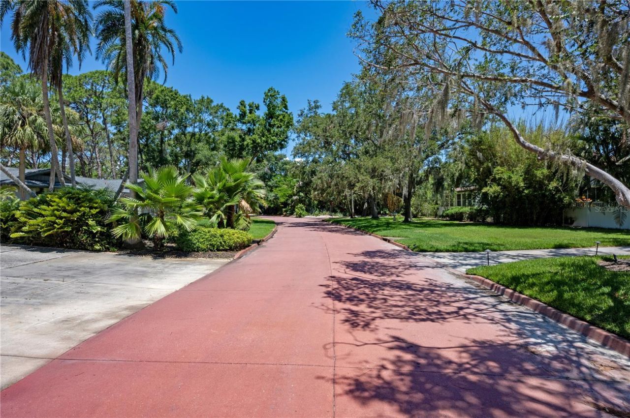 1125 Friendly Way S, Saint Petersburg, FL 33705 Photo