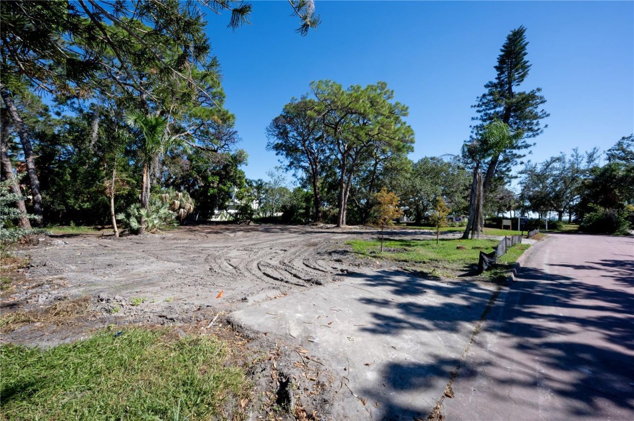 1125 Friendly Way S, Saint Petersburg, FL 33705 Photo