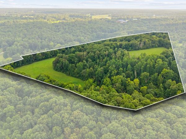 1150 Bell Hollow Rd, Vanleer, TN 37181